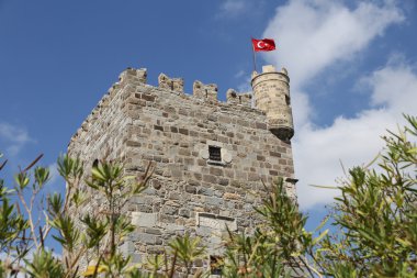 Hindideki sahte şato
