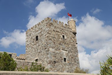 Hindideki sahte şato