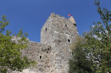 Hindideki sahte şato