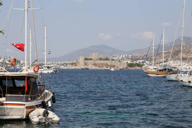 Hindideki sahte şato