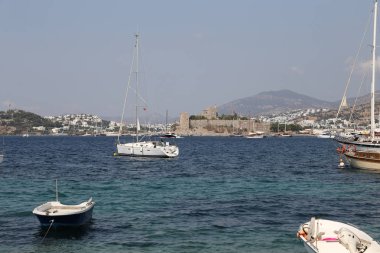 Hindideki sahte şato