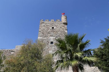 Hindideki sahte şato