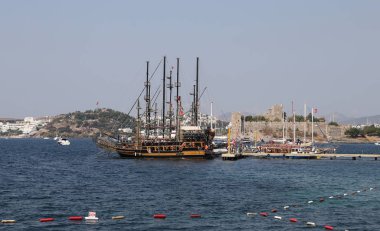 Hindideki sahte şato