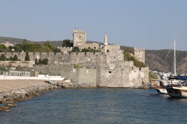 Hindideki sahte şato