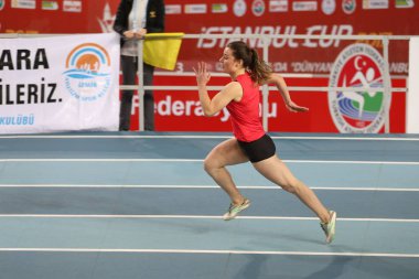Kapalı olimpik deneme yarışmalar