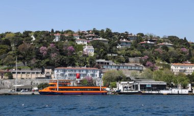 Binalar Istanbul City, Türkiye'de