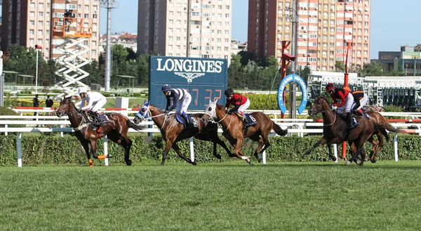 Istanbul Pferderennen — Stockfoto