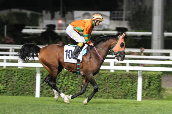 Carrera de caballos de Estambul — Foto de Stock