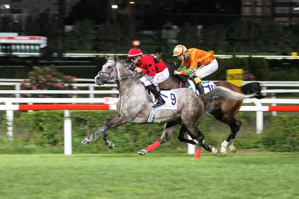 Carrera de caballos de Estambul — Foto de Stock