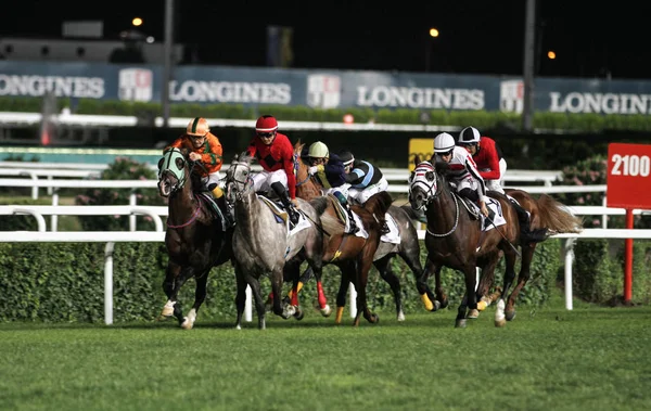 Corrida de cavalos de Istambul — Fotografia de Stock