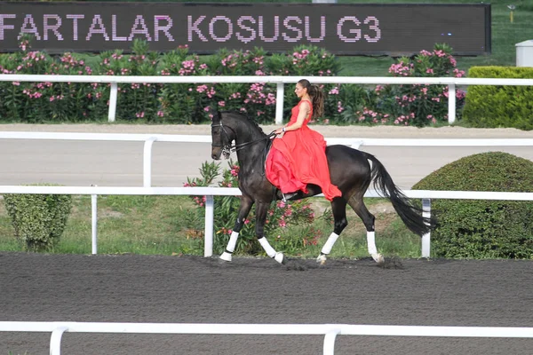 Corrida de cavalos de Istambul — Fotografia de Stock