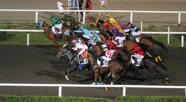 Carrera de caballos de Estambul — Foto de Stock