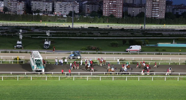 Istanbul at yarışı — Stok fotoğraf