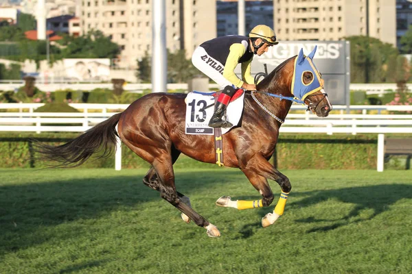 Istanbul paardenrace — Stockfoto
