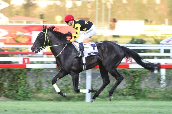 Istanbul Horse Race — Stockfoto