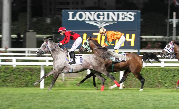 Carrera de caballos de Estambul — Foto de Stock