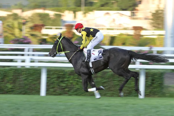 Carrera de caballos de Estambul — Foto de Stock