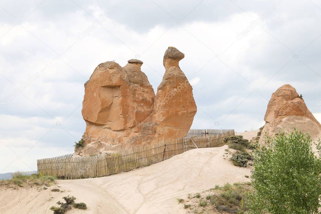 Camel Shaped Rock Formation in Devrent Valley, Cappadocia