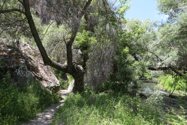 Kapadokya 'daki İhlara Vadisi, Türkiye