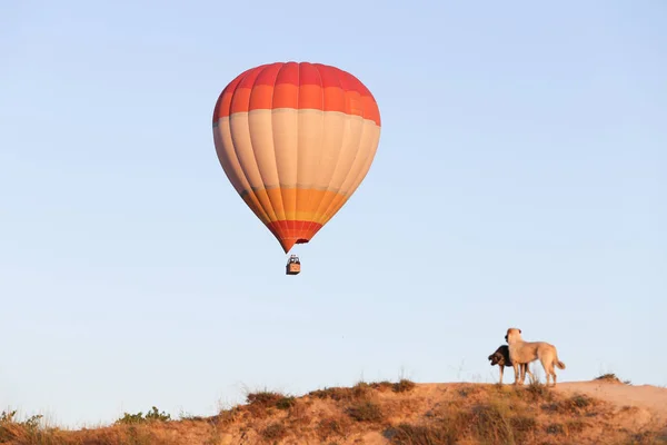 Gorące powietrze balon nad Goreme miasto — Zdjęcie stockowe