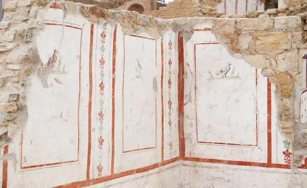 Schilderijen in terras huizen in Efeze oude stad — Stockfoto