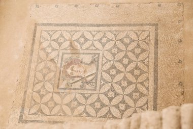 Efes Antik Kenti Teras evlerde Dionysos mozaiği