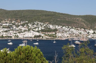Türkiye 'nin Ege kıyısındaki Bodrum Kasabası