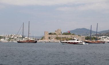 Hindideki sahte şato