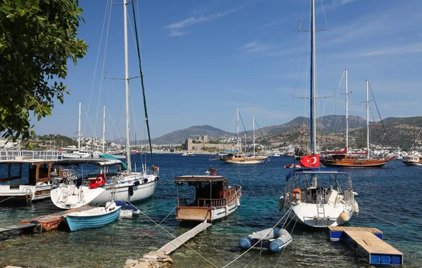 Hindideki sahte şato