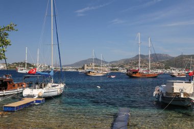 Hindideki sahte şato