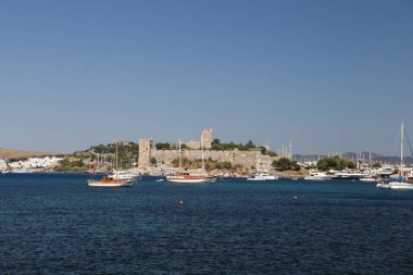 Hindideki sahte şato