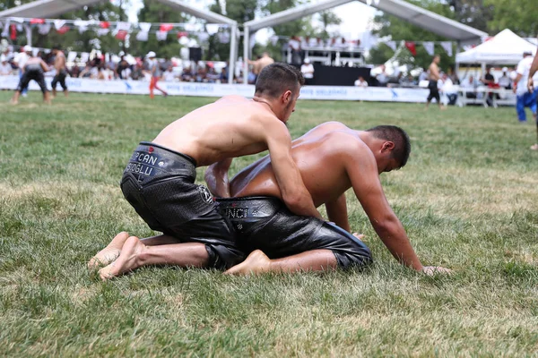 Oleju wrestling w Stambule — Zdjęcie stockowe