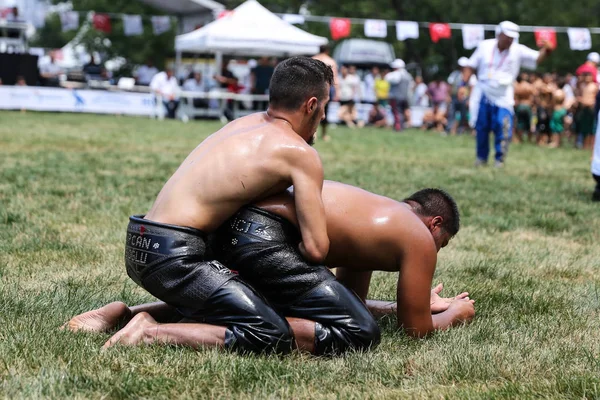 Oleju wrestling w Stambule — Zdjęcie stockowe