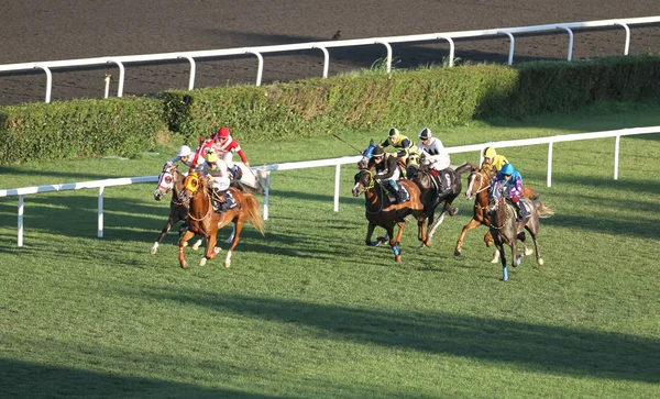 Isztambul Horse Race — Stock Fotó