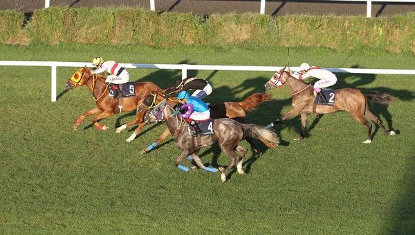Isztambul Horse Race — Stock Fotó