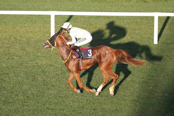 การแข่งขันม้าอิสตันบูล — ภาพถ่ายสต็อก