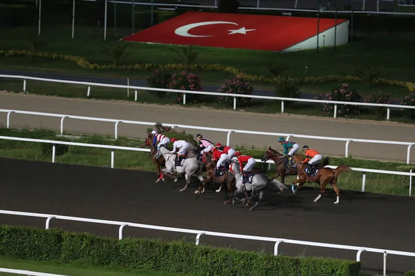 Corrida de cavalos de Istambul — Fotografia de Stock