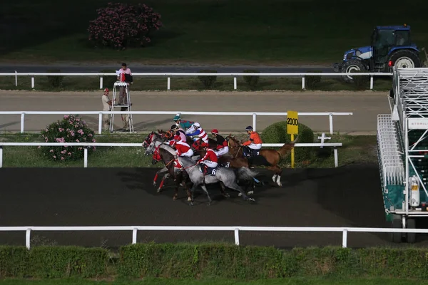 Carrera de caballos de Estambul — Foto de Stock