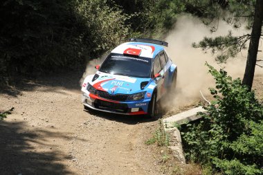 Bursa Rallisi 2017