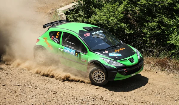 Bursa Rallisi 2017
