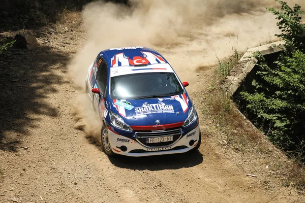 Bursa Rallisi 2017