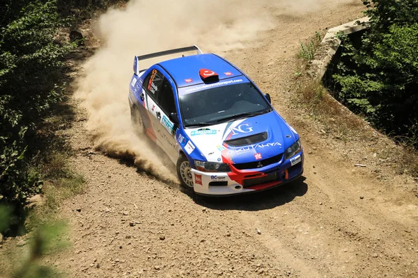 Bursa Rallisi 2017