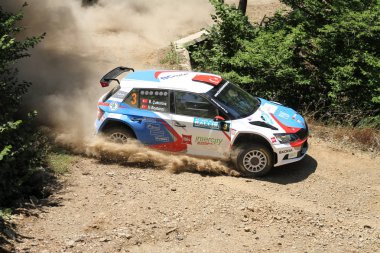 Bursa Rallisi 2017