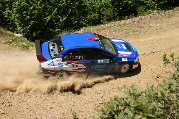 Bursa Rallisi 2017