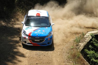 Bursa Rallisi 2017