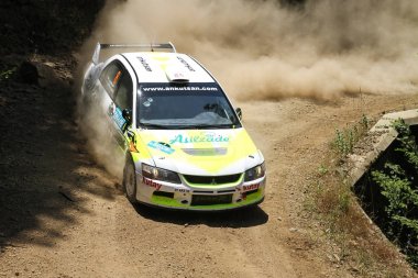 Bursa Rallisi 2017