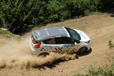 Bursa Rallisi 2017