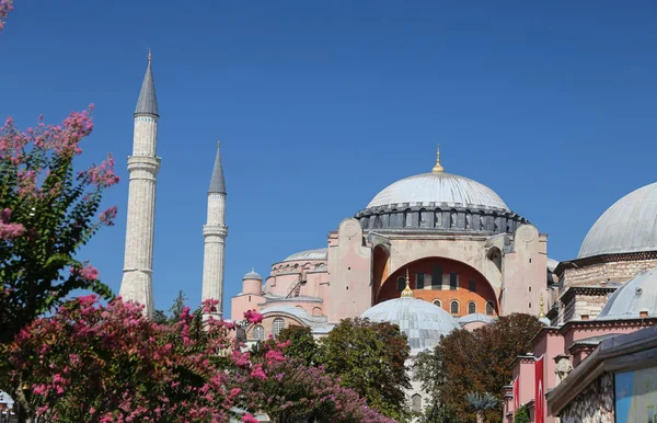 Ayasofya Müzesi istanbul'da
