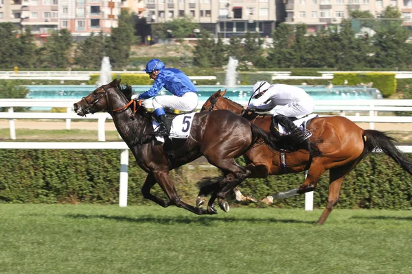 Festival Internacional de Carreras Longines —  Fotos de Stock