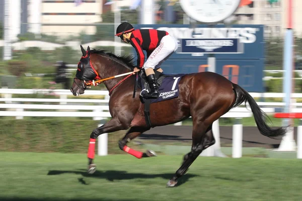 Festival Internacional de Carreras Longines — Foto de Stock